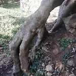 La Pace Dei Sensi