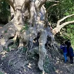 La Pace Dei Sensi *