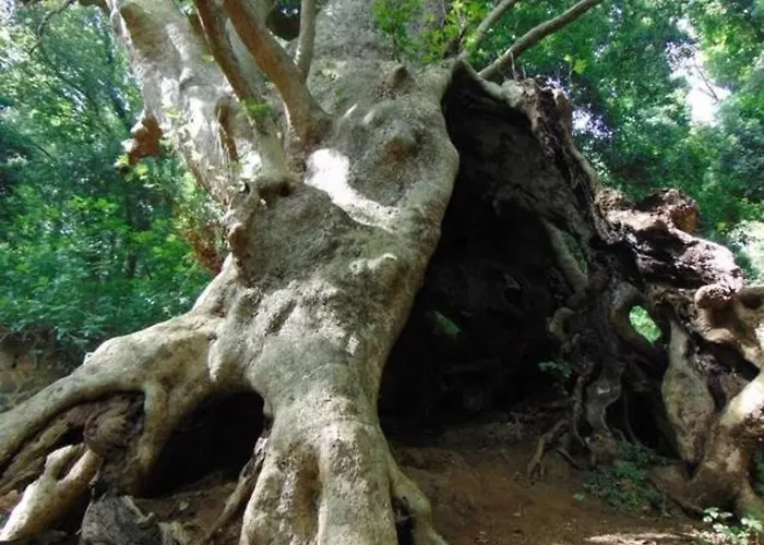 La Pace Dei Sensi 度假居 *